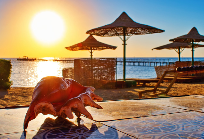 Best time to book Egypt holiday packages from India Best time to book Egypt holiday packages from India