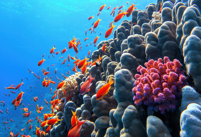 Essential experiences to look for in Egypt packages Essential experiences to look for in Egypt packages