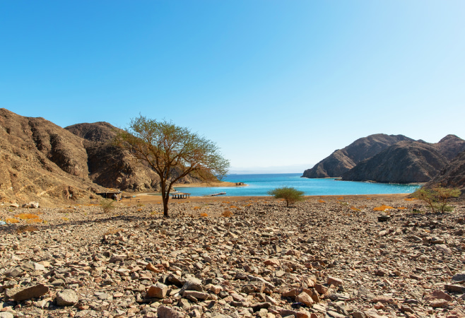 Travel tips for visiting Fjord Bay Taba
