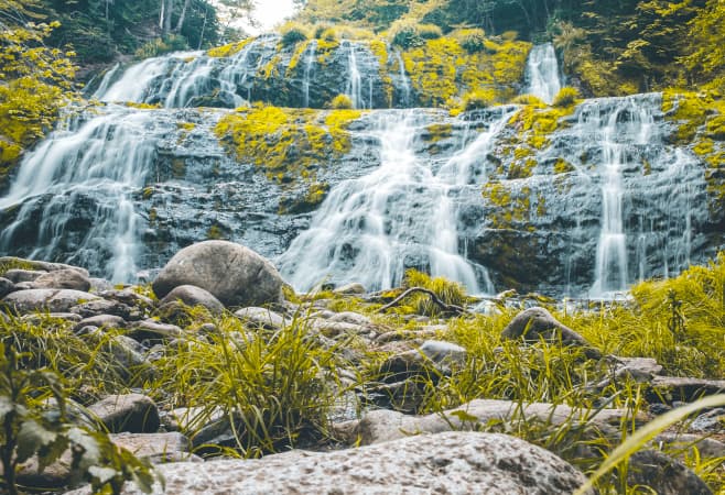 Wildlife and nature around Egypt’s waterfall